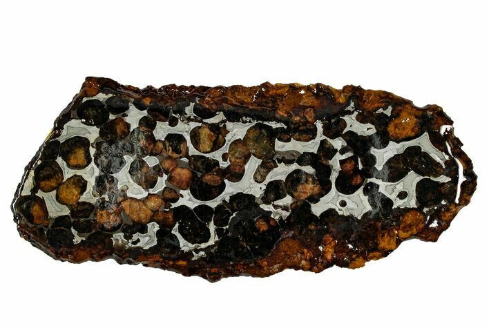 Sericho Pallasite Meteorite ( g) Slice - Kenya #335732